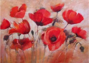 Sklenený obraz - Vlčie maky (70x50 cm)