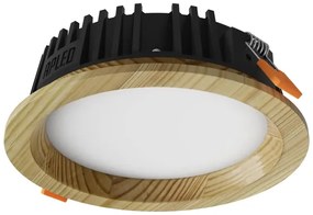 APLED - LED Podhľadové RONDO WOODLINE LED/6W/230V 4000K pr. 15 cm borovica masív