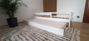 Raj posteli Detská posteľ SMART DMJ 180 s prístelkou 180x80 cm
