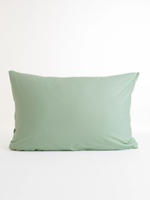 Bavlnená obliečka na vankúš Renforcé 50 × 70 cm – Jasmine mätová