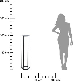 STOJAN NA KVETINÁČ HEXA 100X24X28 CM ČIERNA