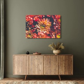 Obraz - Chryzantémy (90x60 cm)
