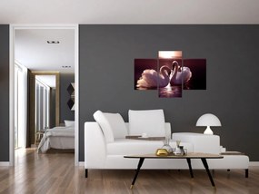 Obraz - Labute na jazere (90x60 cm)
