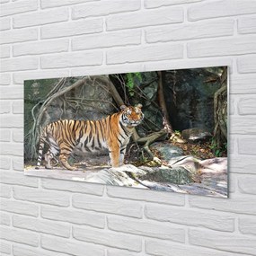 Sklenený obraz tiger džungle 125x50 cm
