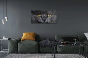 Sklenený obraz Čierna mačka 140x70 cm