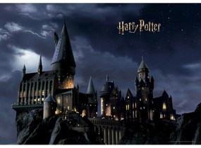 Detská fototapeta Harry Potter 252 x 182 cm, 4 diely