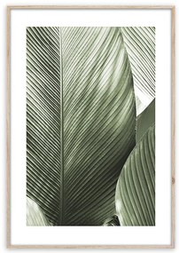 Obraz Artbox Digi 50x70 Br002 Macro