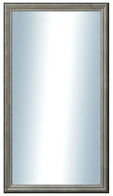 DANTIK - Zrkadlo v rámu, rozmer s rámom 50x90 cm z lišty Anversa strieborná (3152)