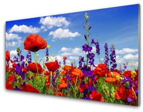 Obraz na skle Tulipány rastlina 140x70 cm