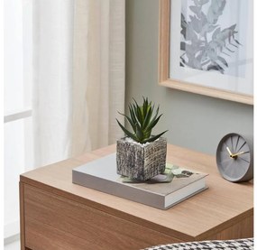 Eglo 428008 - Umelá rastlina v kvetináči CHITOSE 13x9,5 cm sukulent 428008