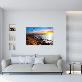 Obraz - Čajka letiaca nad pobrežím (90x60 cm)