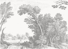 Vliesová tapeta Engraved Landscapes V