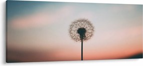 Obraz - Držím ťa, púpava (120x50 cm)