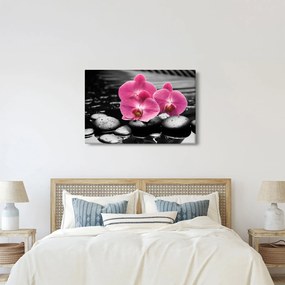 Obraz - Ružové orchidey (90x60 cm)