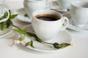 Thun kávová súprava 6ks šálok s podšálkami  Bernadotte biela pre 6 osôb