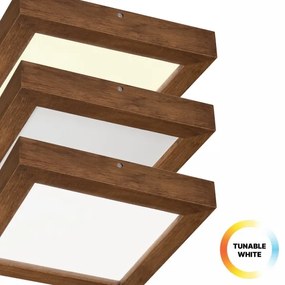 Brilagi-LED Stmievateľné svietidlo WOODY FRAME LED/24W/230V dub 30x30 cm IP44 + DO