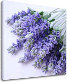 Obraz na stenu KVETY XOBKV122E12 - 50x50 cm