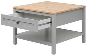Konferenčný stolík BRW Salga 5 (arktická sivá + dub artisan) . Vlastná spoľahlivá doprava až k Vám domov. 1098469