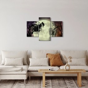 Obraz - Spln nad hladinou (90x60 cm)