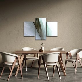 Obraz - Perie, makro (90x60 cm)