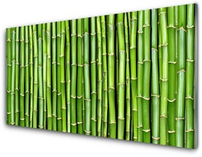 Nástenný panel  Bambus kvet rastlina 100x50 cm