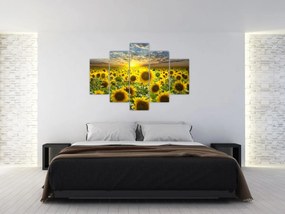 Obraz - Slnečnica pri západe slnka (150x105 cm)