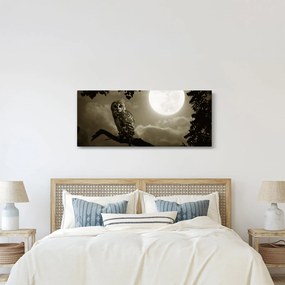 Obraz - Nočná sova, zlatá (120x50 cm)