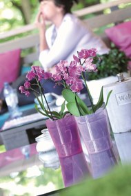 Kvetináč Coubi Orchidea ružový transparentný mat