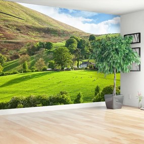 Fototapeta Vliesová Jarná cumbria 416x254 cm