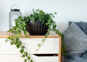 PLASTOVÝ KVETINÁČ STRIPPED ECO SADA 2KS 16X30 CM+15X24 CM ČIERNA