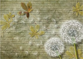 Sklenený obraz - Púpavy unášané vetrom (70x50 cm)