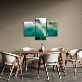 Obraz steblá trávy (90x60 cm)