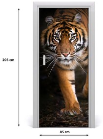Fototapeta samolepiace na dvere tiger 85x205 cm