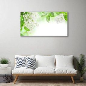 Obraz na skle Plátky rastlina príroda 100x50 cm