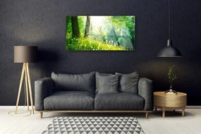 Skleneny obraz Lúka príroda rastlina 140x70 cm