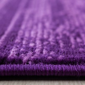 Tmavofialový behúň 80x300 cm Plus – Ayyildiz Carpets