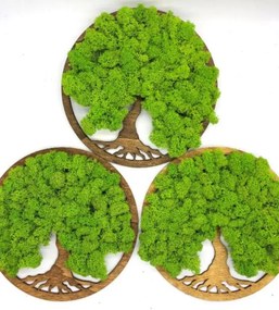 Strom na stenu z machu Navi 20 cm