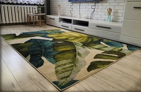 Koberec Green Garden 747 s motívom listov – viacfarebný Rozmer: 80x150 cm