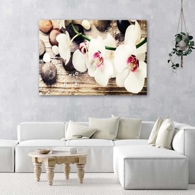 Gario Obraz na plátne Biele zenové orchidey Rozmery: 60 x 40 cm