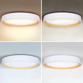 Brilagi - stmievateľné LED stropné svietidlo LARIOS LED/72W/230V biela pr. 59 cm + diaľkové ovládanie