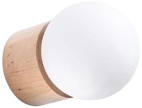 Sollux SL.1192 - Nástenné bodové svietidlo BOOMO 1xG9/8W/230V SL.1192