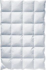 XXXLutz ZIMNÁ PRIKRÝVKA, 135/200 cm, kačacie páperie, kačacie perie Billerbeck - Prikrývky & vankúše - 003279054301