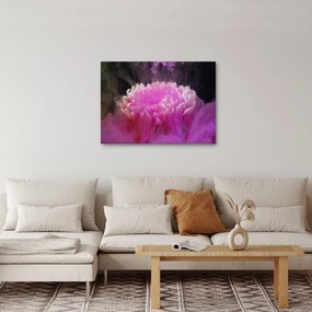 Obraz kvetiny v ružovom dyme (70x50 cm)