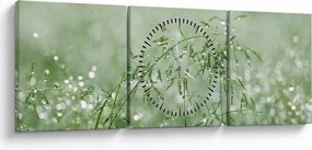 Obraz - Ranná rosa na steblach trávy (s hodinami) (90x30 cm)