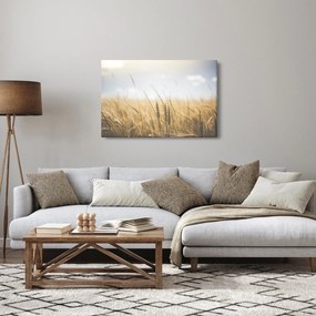 Obraz obilia (90x60 cm)