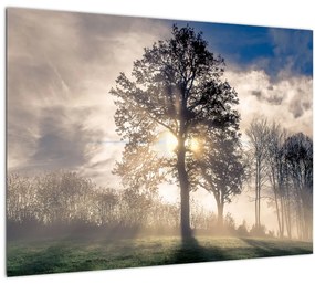 Sklenený obraz stromu v hmle (70x50 cm)