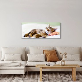Obraz - Spiace mačiatko (120x50 cm)