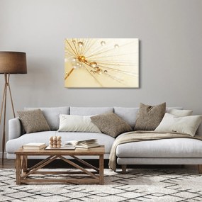 Obraz - Makro fotografie púpavy (90x60 cm)