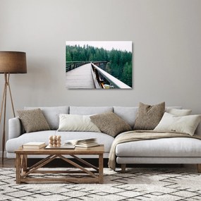 Sklenený obraz - Most k vrcholkom stromov (70x50 cm)