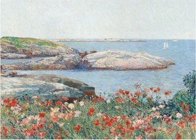 Obraz - Childe Hassam, Poppies,  Isles of Shoals, reprodukcia (70x50 cm)